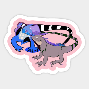 Two Iguanas Sticker